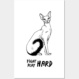 CAT FIGHTER Posters and Art